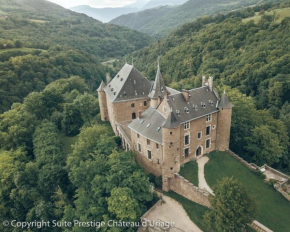 Suite Prestige Château Uriage - Escapade romantique